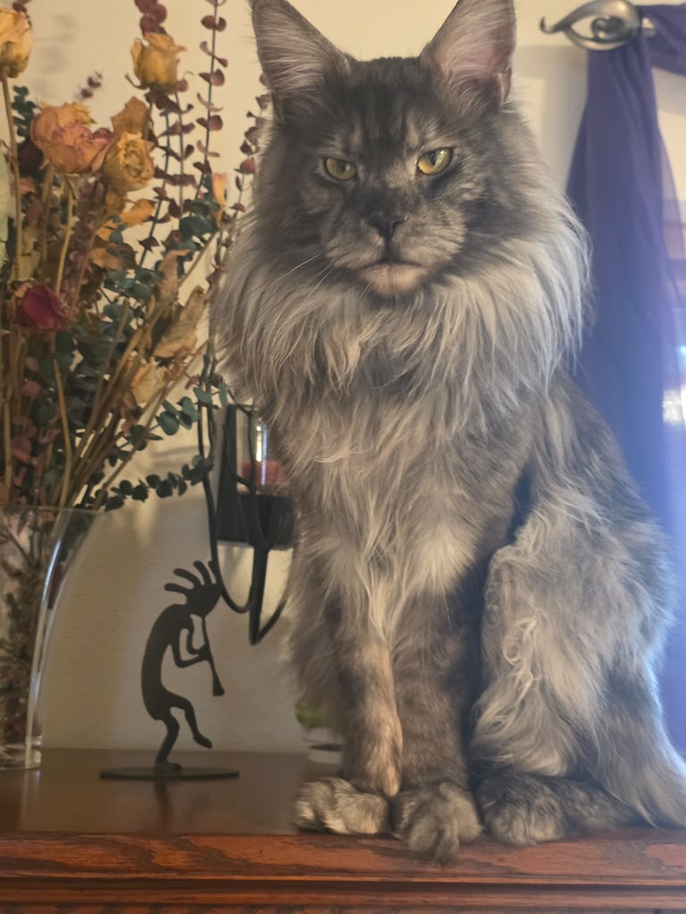 Artie