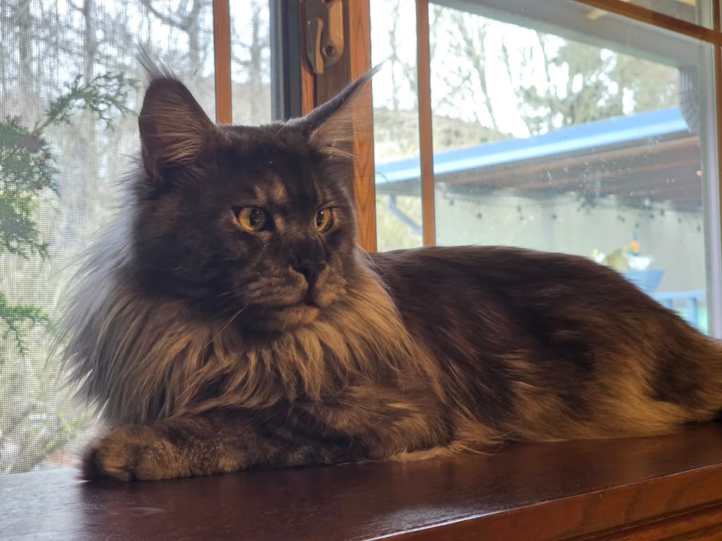 Artie