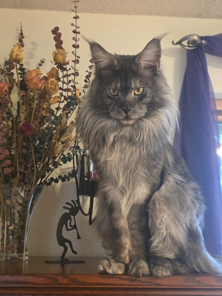Artie