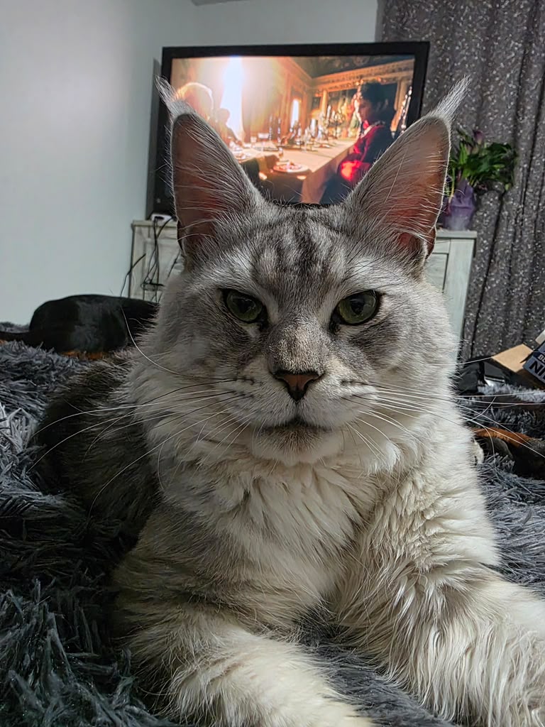 Marcus